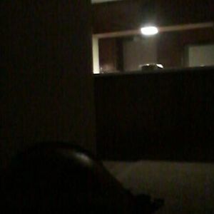 Meet your Posher, Cortez